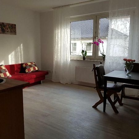 Helle Ferienwohnung An Der Rheinpromenade 50 Qm Ντούισμπουργκ Εξωτερικό φωτογραφία