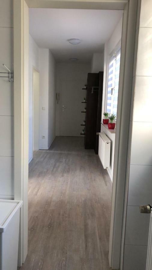 Helle Ferienwohnung An Der Rheinpromenade 50 Qm Ντούισμπουργκ Εξωτερικό φωτογραφία